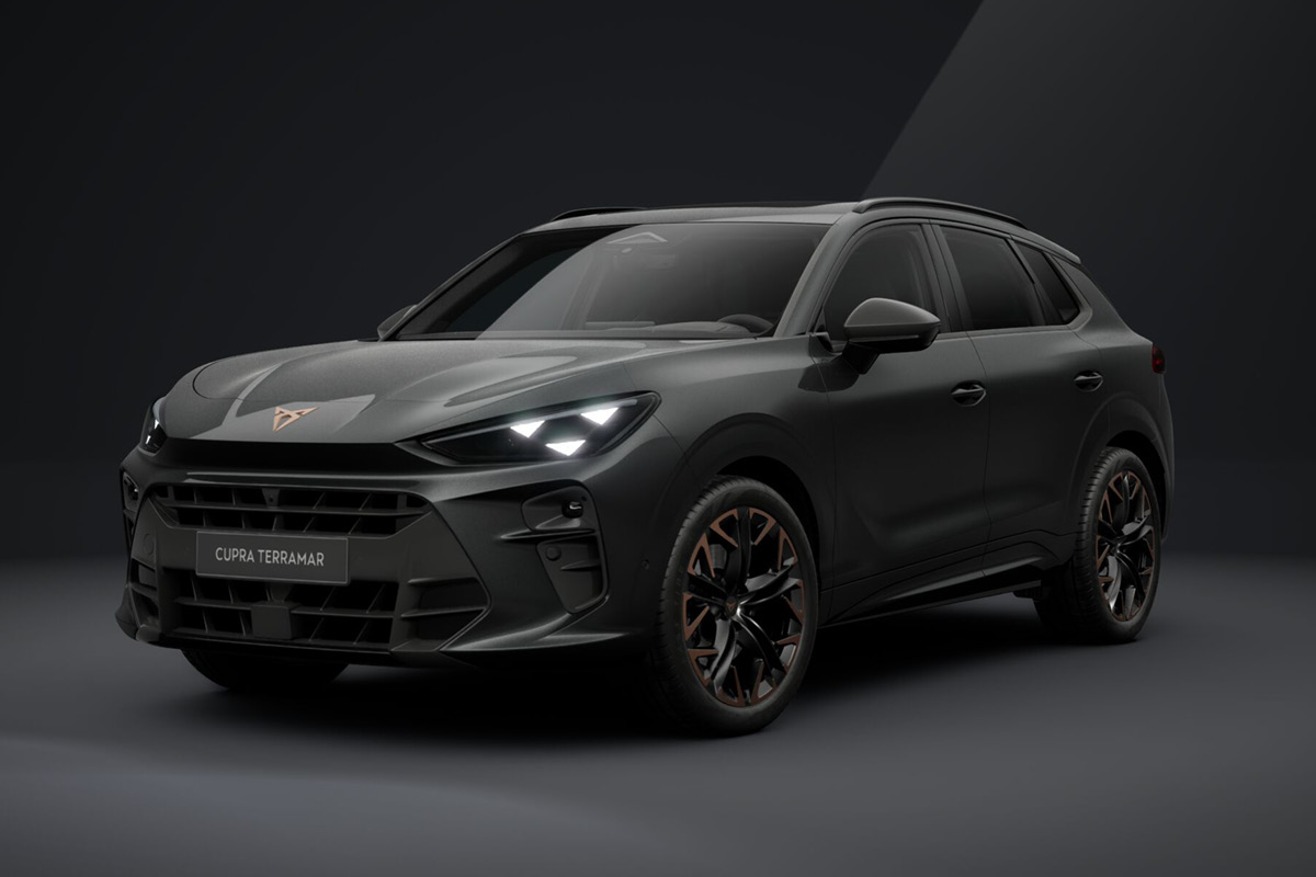 AVP AUTOLAND | CUPRA Terramar in Grau