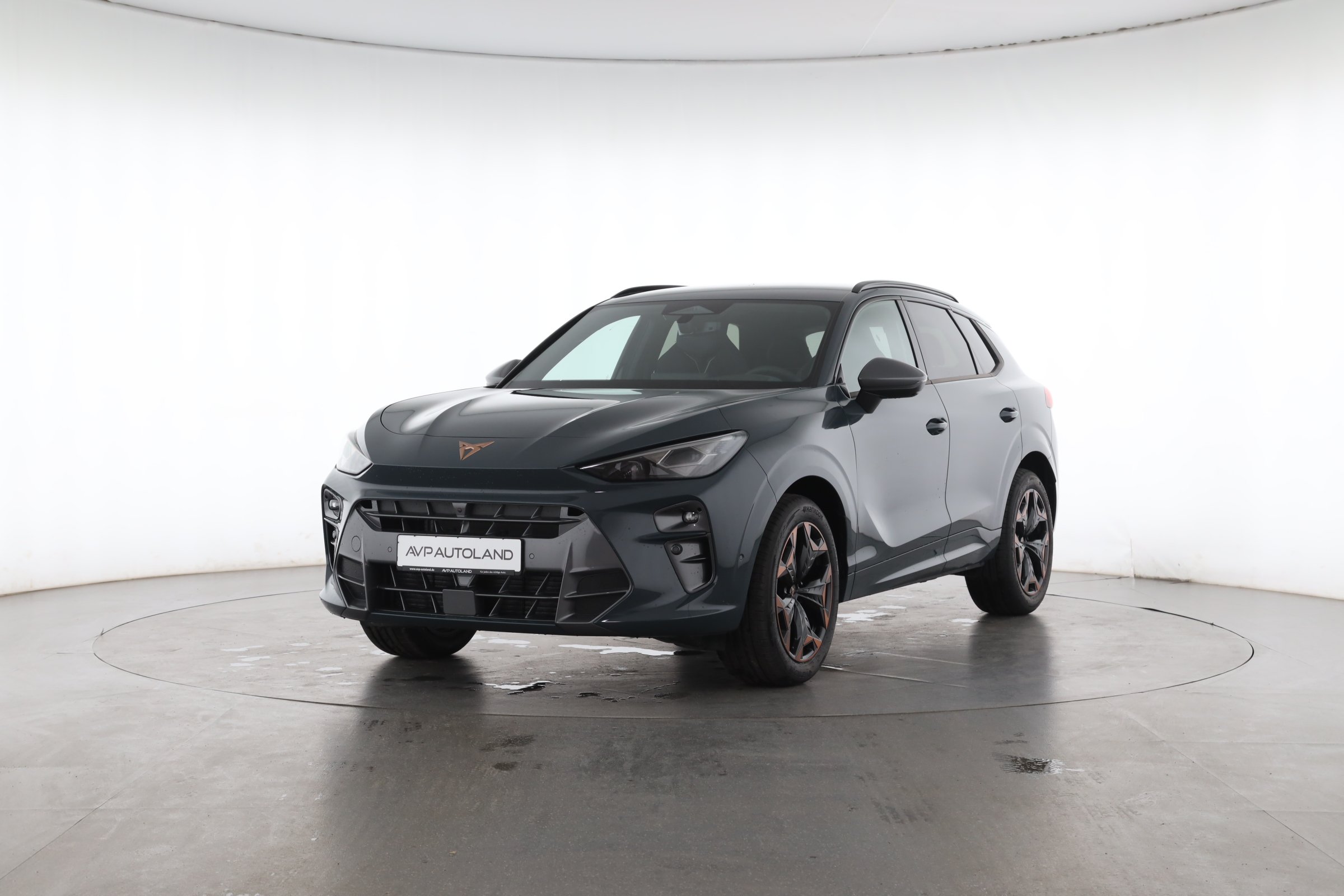 AVP AUTOLAND | CUPRA Terramar in Blau