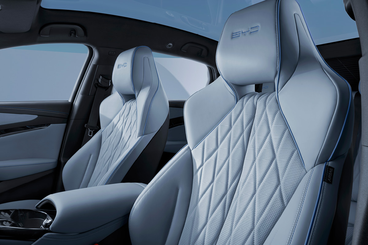 AVP AUTOLAND | BYD Beispielfahrzeuge.