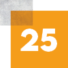 Icon Erfahrung